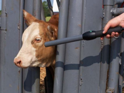 Cattle RFID Stick Reader