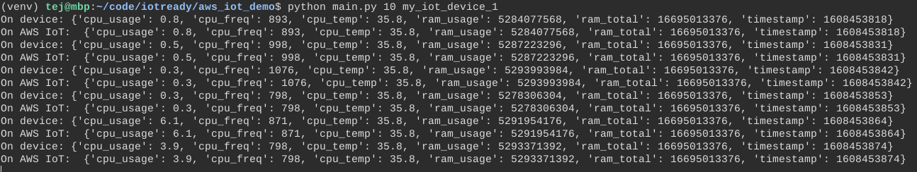 Terminal Output